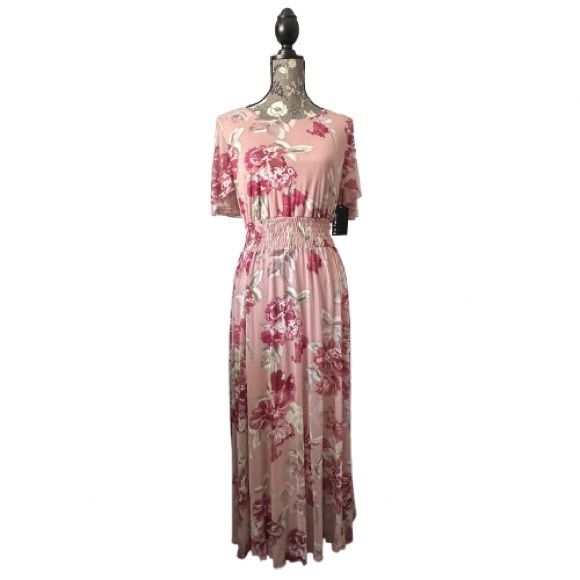 Enfocus Studio Dresses & Skirts - NWT Enfocus Studio Size 6 Pink Pleated Smocked Maxi Dress Short Fluttered Sleeve